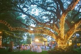 Lights around a tree